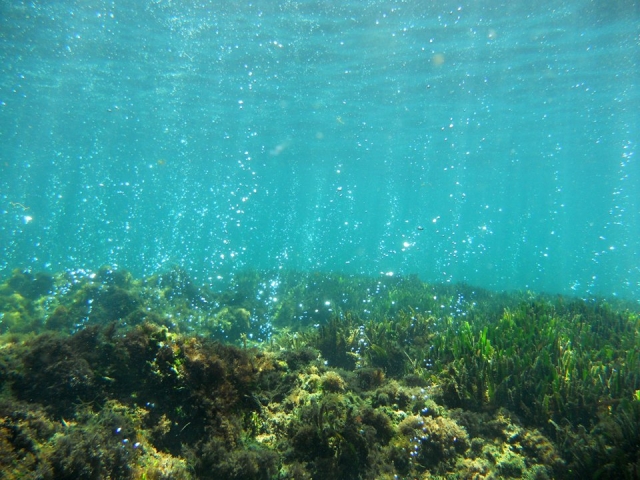  Crystal clear waters 